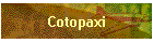 Cotopaxi