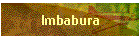 Imbabura
