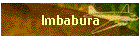 Imbabura